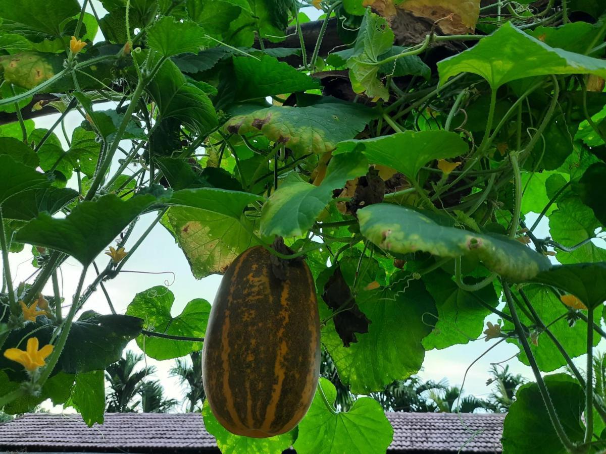 Jasmine Land Homestay Udupi Bagian luar foto